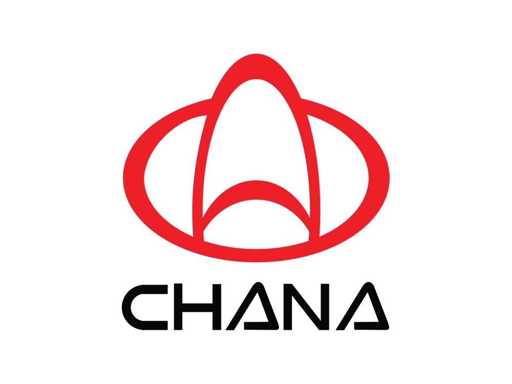 Двірники Chana