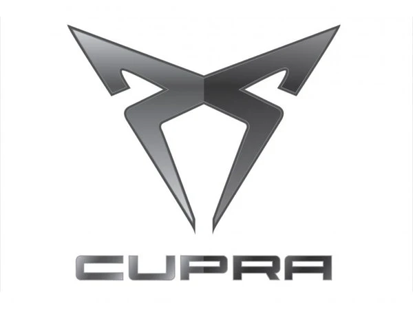 Двірники Cupra